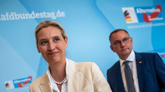 Alice Weidel und Tino Chrupalla