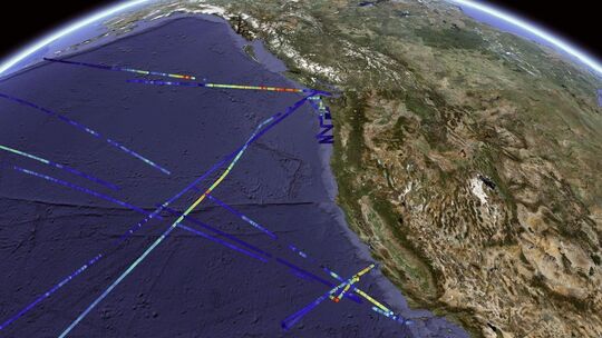 Verteilung der Phytoplankton-Biomasse vor der Küste Kaliforniens