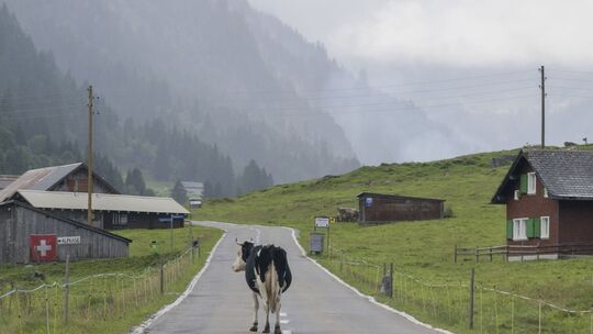 Schweiz - Klausenpass