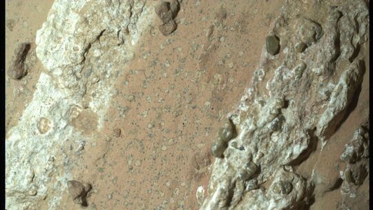 Mars-Stein könnte Zeichen von früherem Leben zeigen