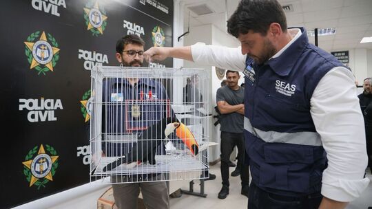 Großer Schlag gegen den illegalen Tierhandel in Brasilien