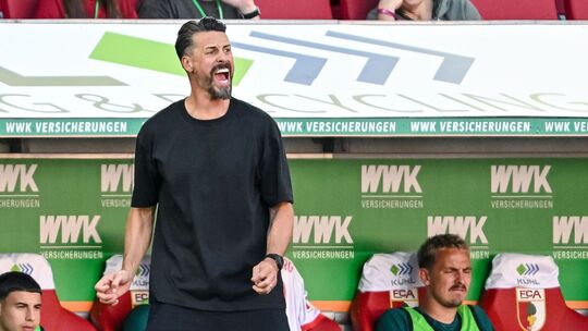 Sandro Wagner