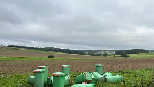 Bild des Diebesgutes