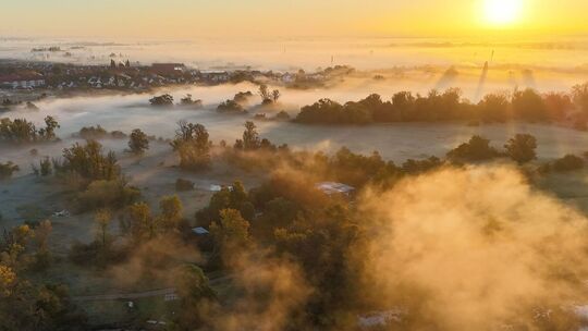 Nebel im Herbst