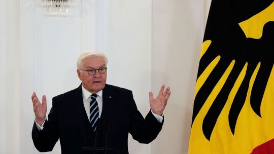 Bundespräsident Steinmeier