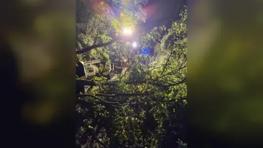 Sturm und Regen: Zahlreiche Bäume in Idar-Oberstein umgestürzt