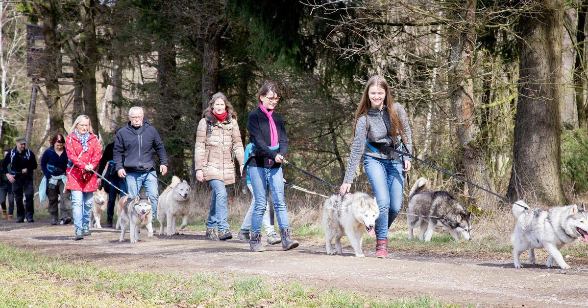 Klotti-Park öffnet ganzjährig: Huskys, Safari & Co.: Diese 5 Parks trotzen ...