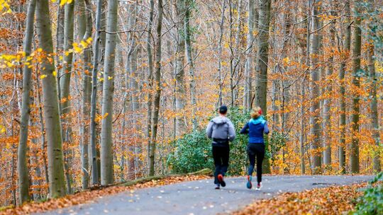 Wetter in Nordrhein-Westfalen Wetter in Nordrhein-Westfalen
