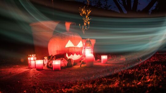 Geschnitzter Halloween-Kürbis steht in einem Garten