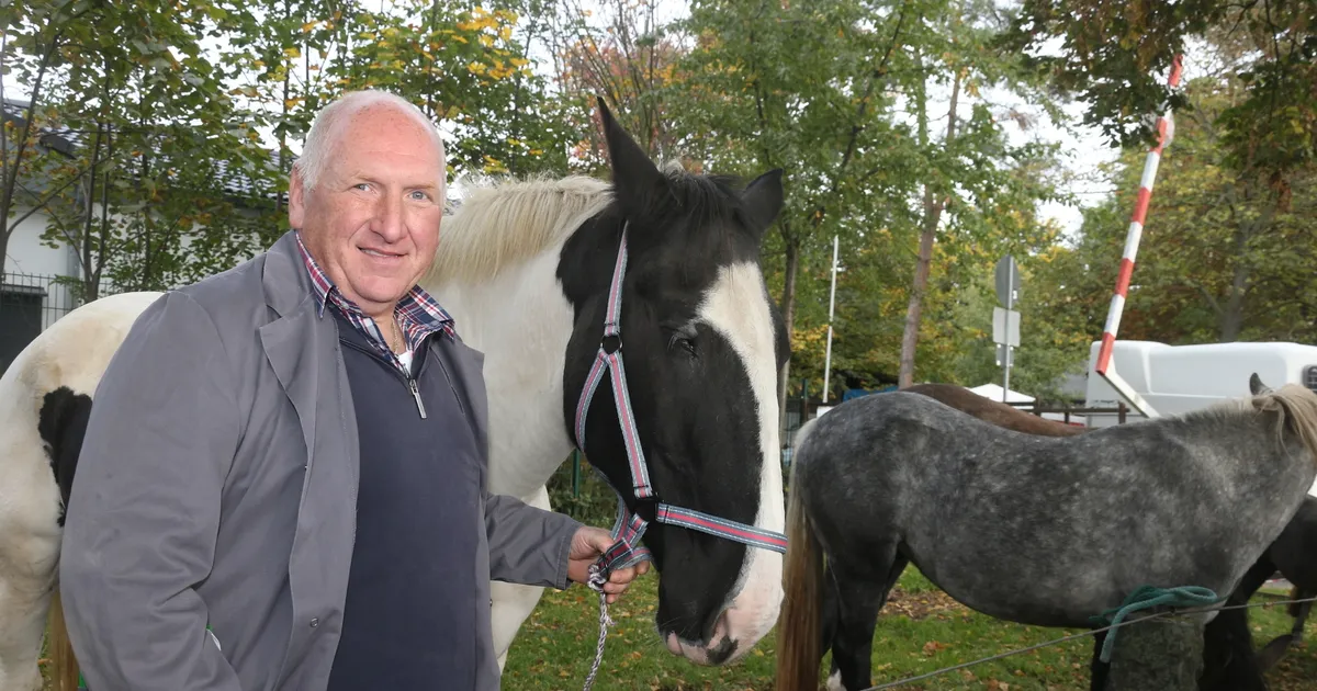 Tradition in Mayen: Mit dem Pferdemarkt-Gen auf die Welt gekommen