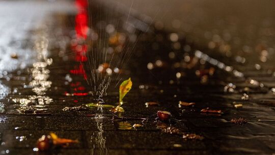 Herbstwetter in Rheinland-Pfalz