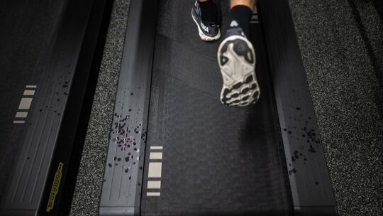 Tom Liebscher-Lucz Tom Liebscher-Lucz