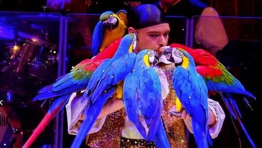 Koblenzer Weihnachtscircus