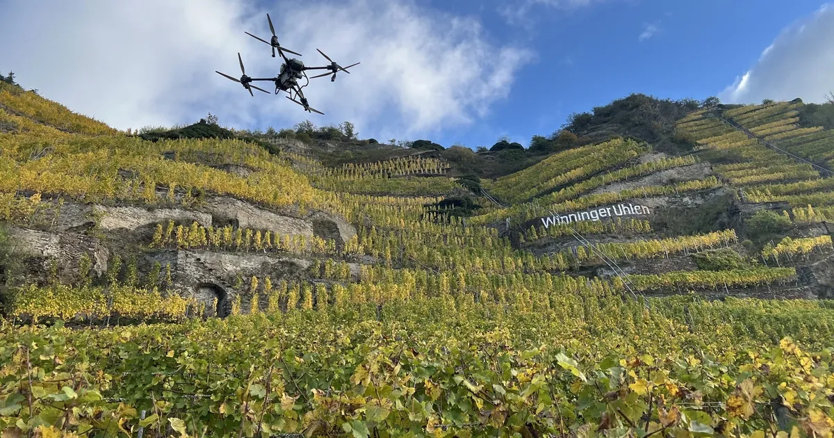 DUH lawsuit still pending: Moselle winegrowers expand drone spraying