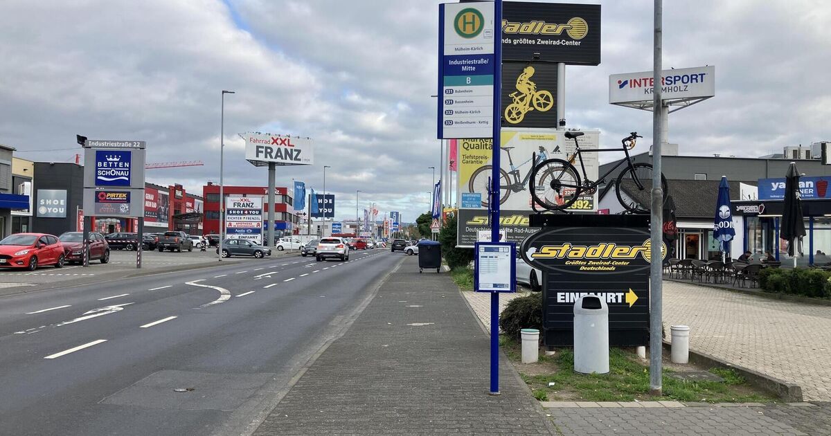follow me kinderfahrrad Kinderfahrrder mieten statt kaufen mit nomadi