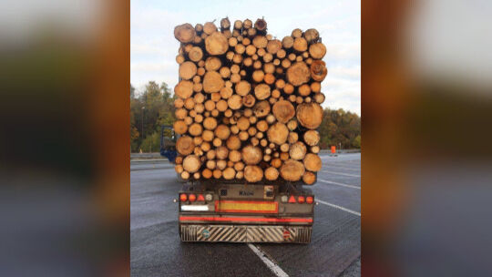 Heckansicht Holztransporter