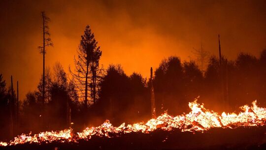 Waldbrand in Thüringen Waldbrand in Thüringen