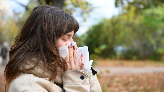 Erkältungszeit in Deutschland Erkältungszeit in Deutschland