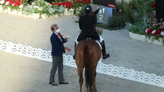 «Blut-Regel» im Pferdesport