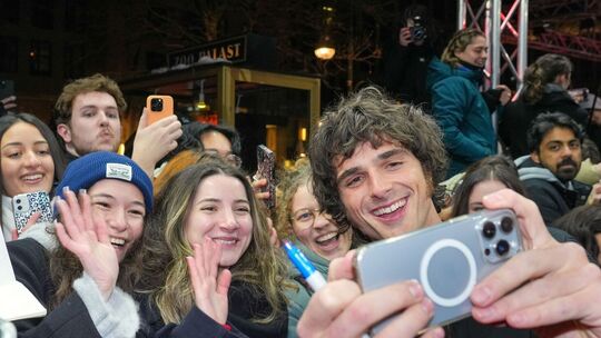 Zwischen Meme, Memme und Macho: Der Performative Male