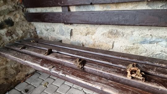 BIld Wartebank mit Kot