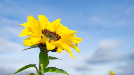 Bis zu 20 Grad am Donnerstag