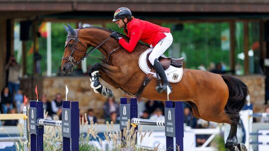 Pferdesport/Springen: Europameisterschaft