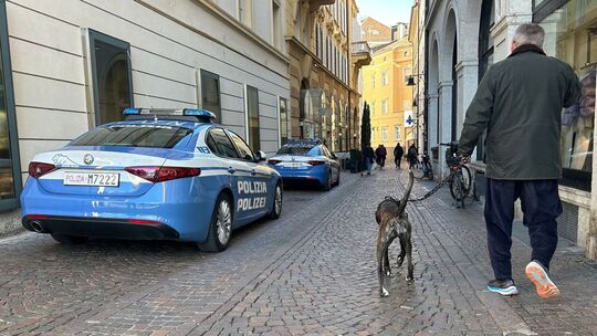 Hunde in Bozen Hunde in Bozen
