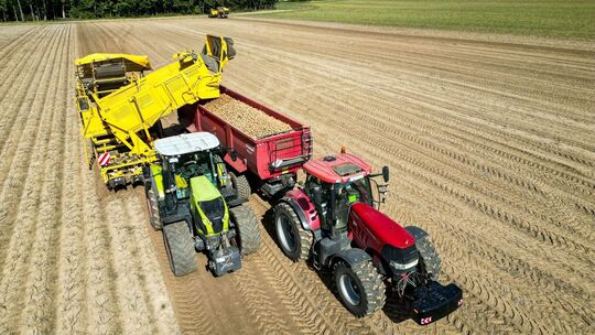 Kartoffelernte Kartoffelernte