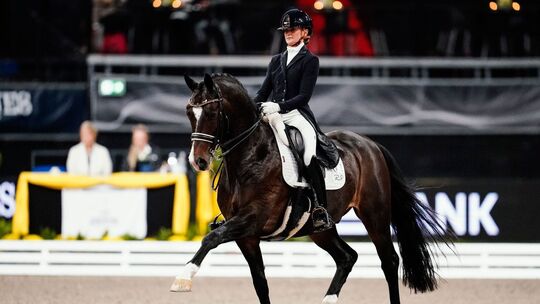 Stuttgart German Masters Stuttgart German Masters