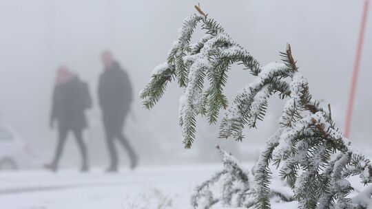 Wintereinbruch im Harz