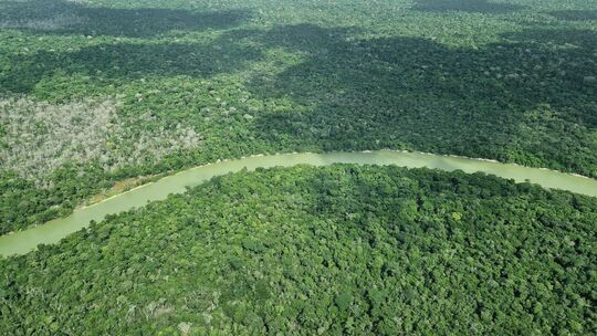 Überflug über das Amazonasgebiet