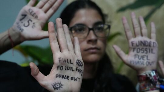 Weltklimakonferenz COP30