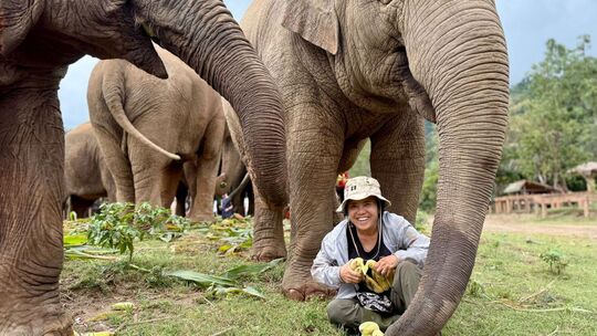 Elefantenflüsterin Saengduean «Lek» Chailert