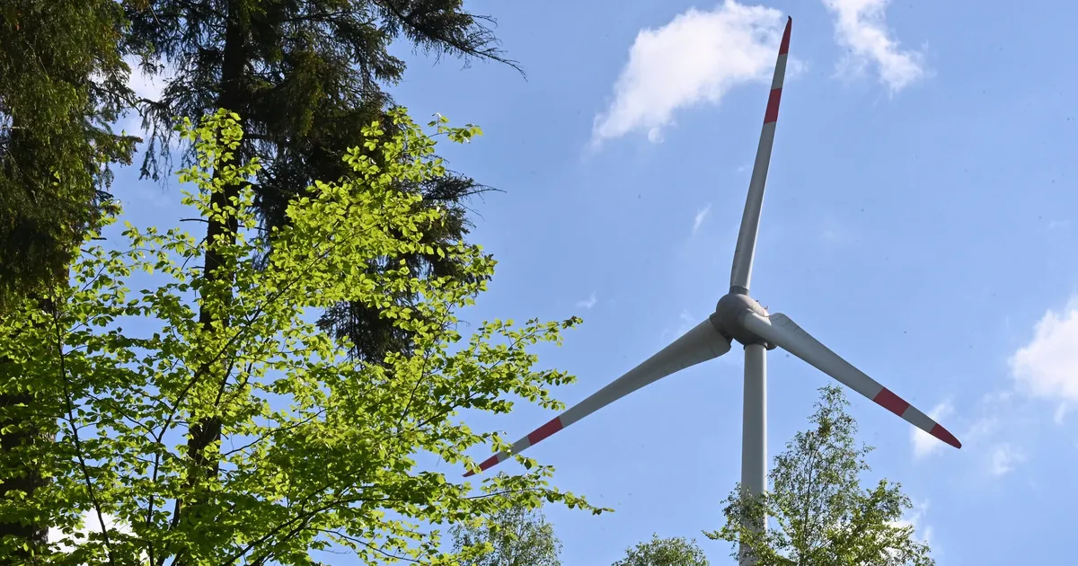 Windkraft im Rhein-Hunsrück: Sorge vor Windrädern im Soonwald: Was sagt ...