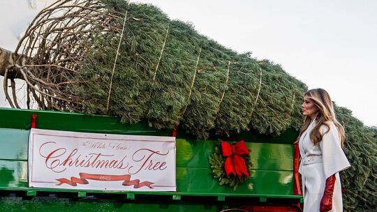 Ankunft des Weihnachtsbaums im Weißen Haus