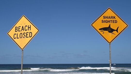 Tödlicher Hai-Angriff vor australischer Ostküste