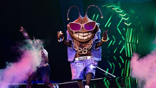 „The Masked Singer“