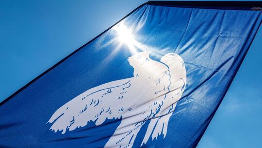 Friedenstaube Friedenstaube