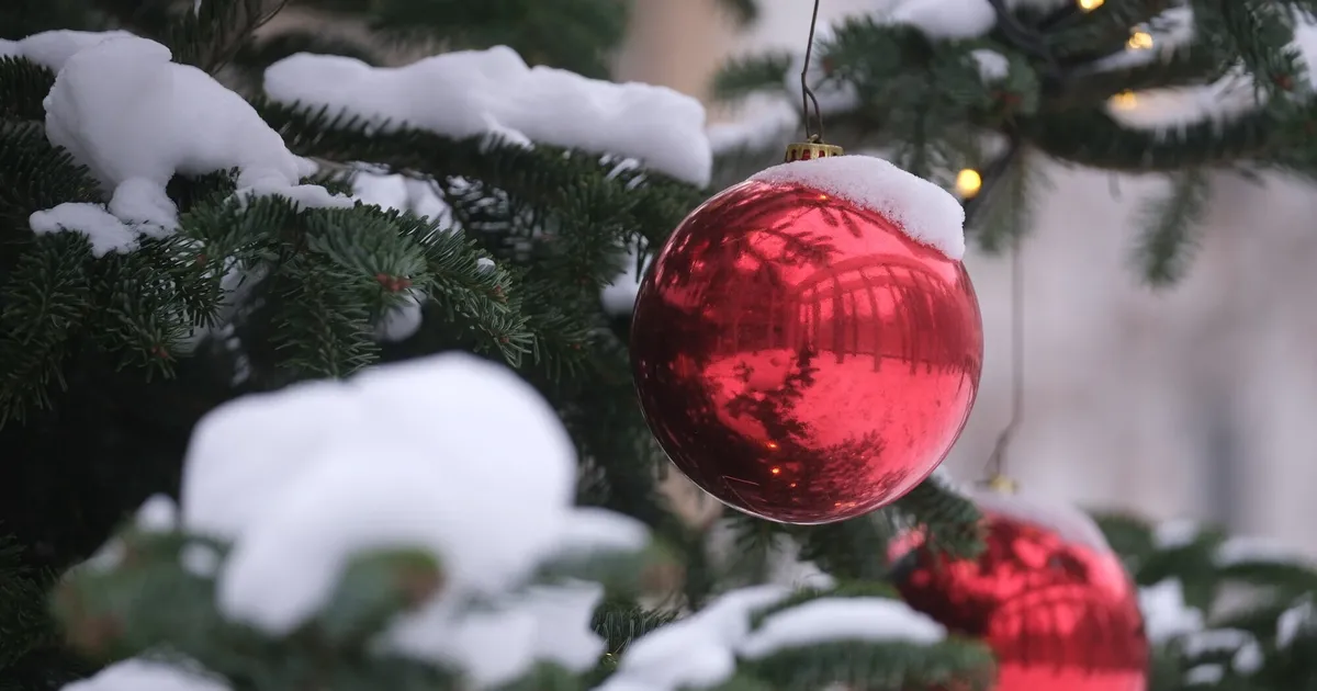 Weiße Weihnacht am Rhein?: Milder Start in den Winter – und kaum Schnee in ...