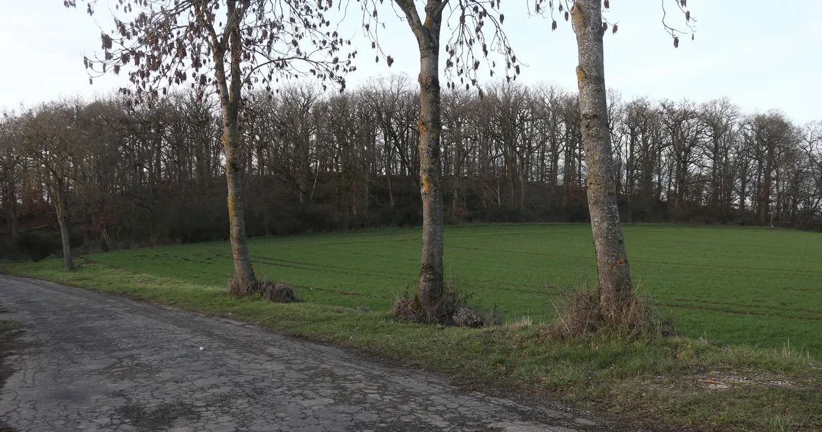 Grausiger Fund bei Monreal: Ermittler warten auf DNA-Abgleich der ...