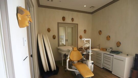 Epstein-Skandal - Insel