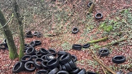 Illegal entsorgte Altreifen Illegal entsorgte Altreifen