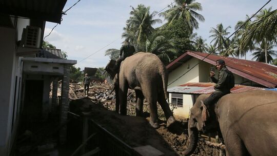 Überschwemmungen in Indonesien Überschwemmungen in Indonesien