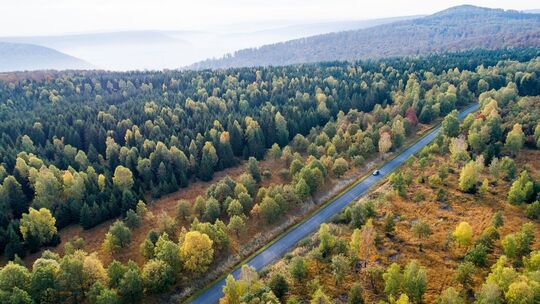 Forscher fordern CO2-Entnahmen Forscher fordern CO2-Entnahmen
