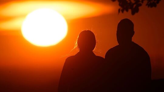 Säuger-Vergleich: Der Mensch ist eine monogame Art Säuger-Vergleich: Der Mensch ist eine monogame Art