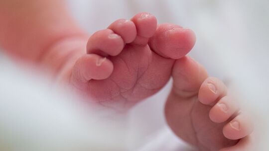 Illustration - Geburten Illustration - Geburten