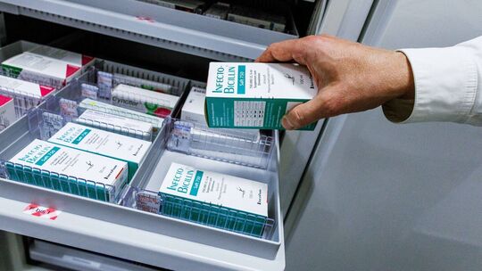 Schimmelpilz Penicillium ist Mikrobe des Jahres Schimmelpilz Penicillium ist Mikrobe des Jahres