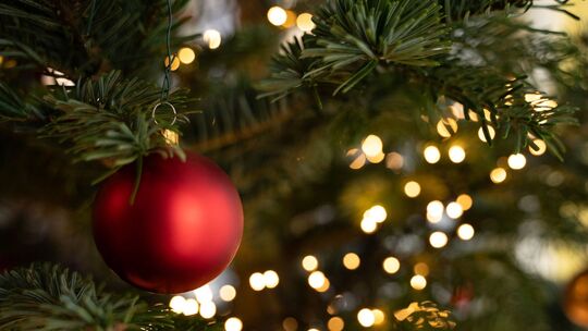 Christbaumkugel am Weihnachtsbaum Christbaumkugel am Weihnachtsbaum