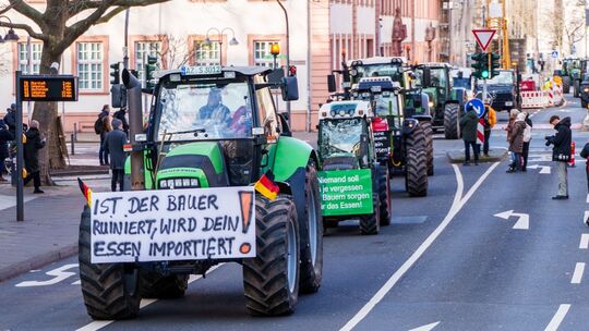 Bauernproteste in Mainz